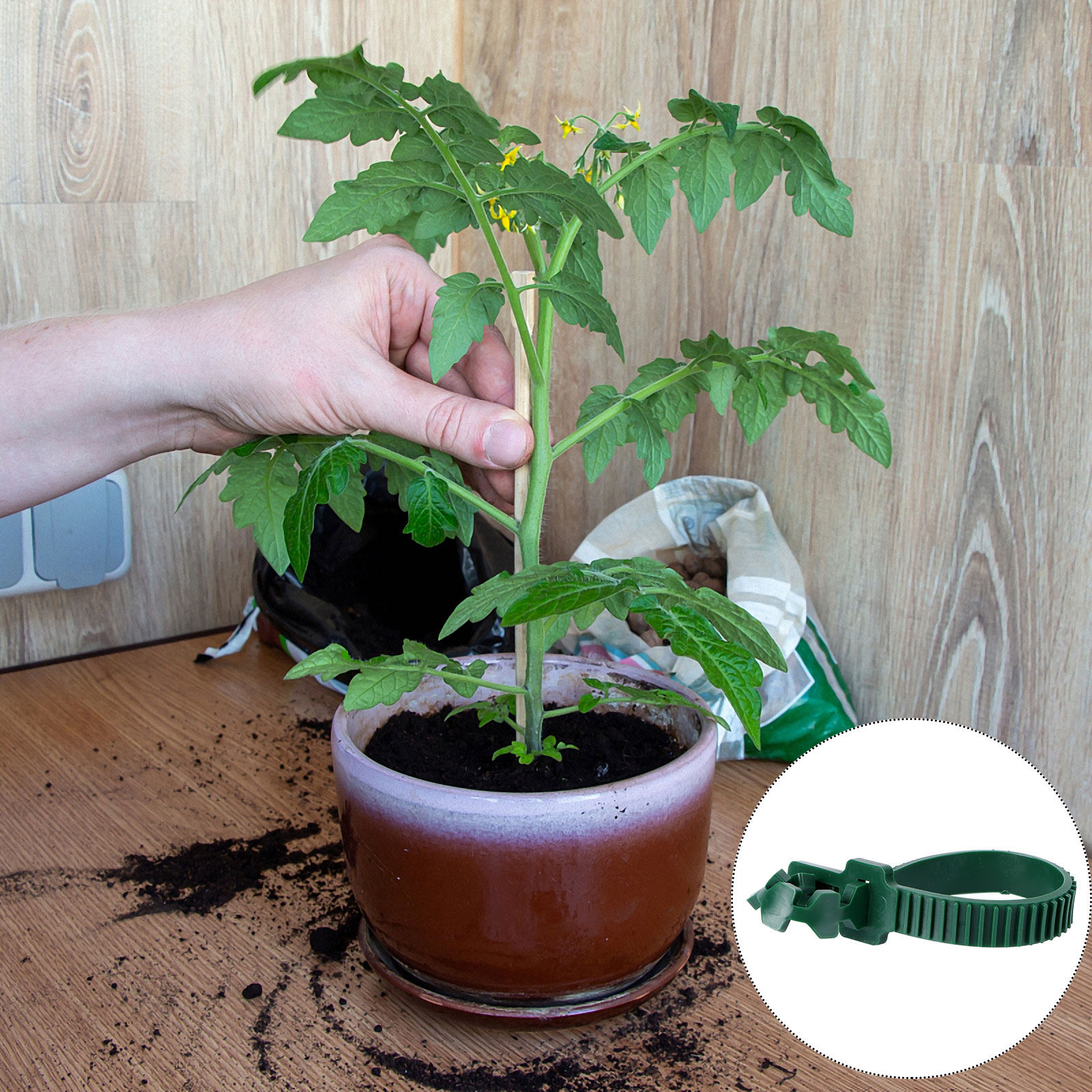 20 szt. klipsów do mocowania p – Us Bonsai Garden recenzja i cena