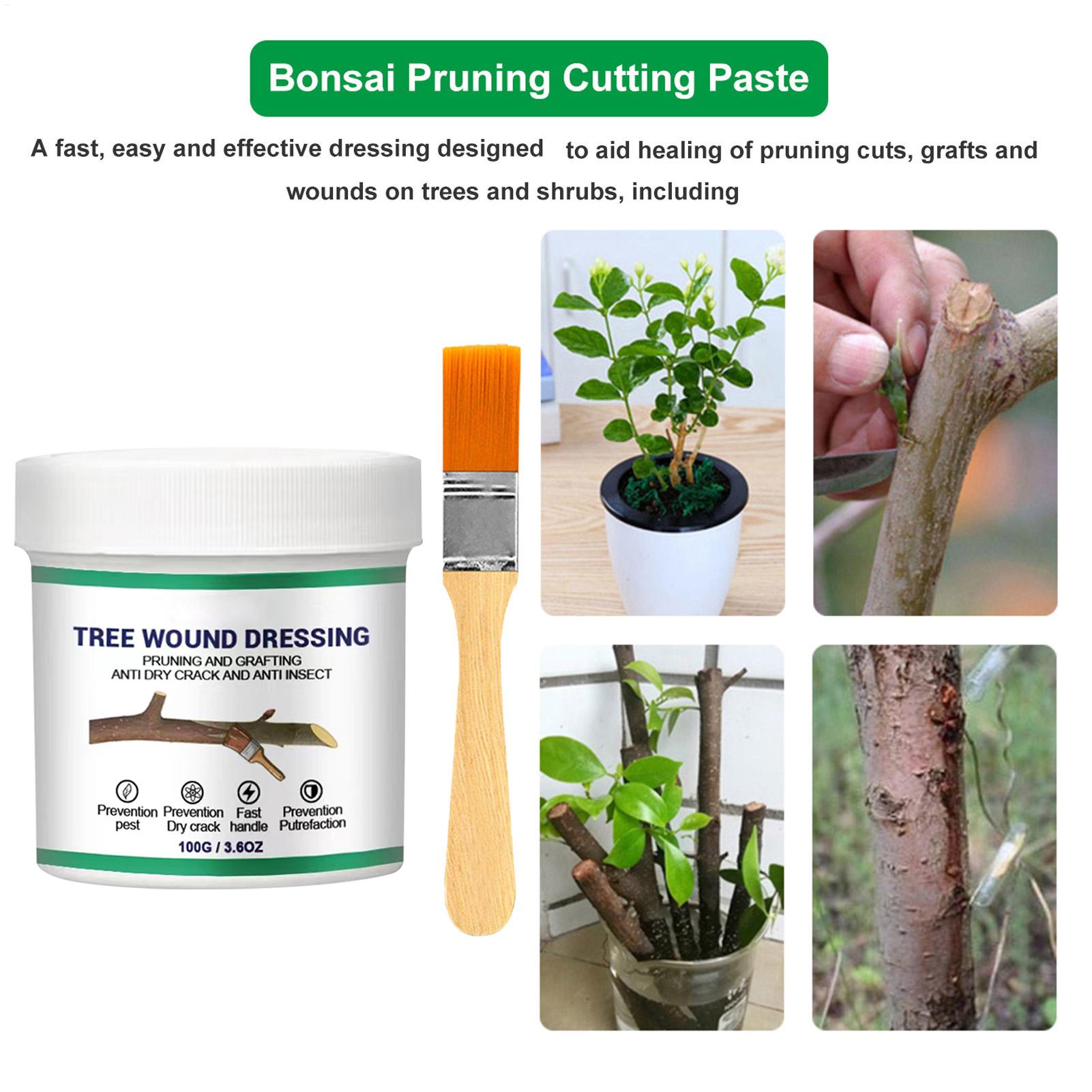 100g Uszczelniacz do ran drzew – Us Bonsai Garden recenzja i cena